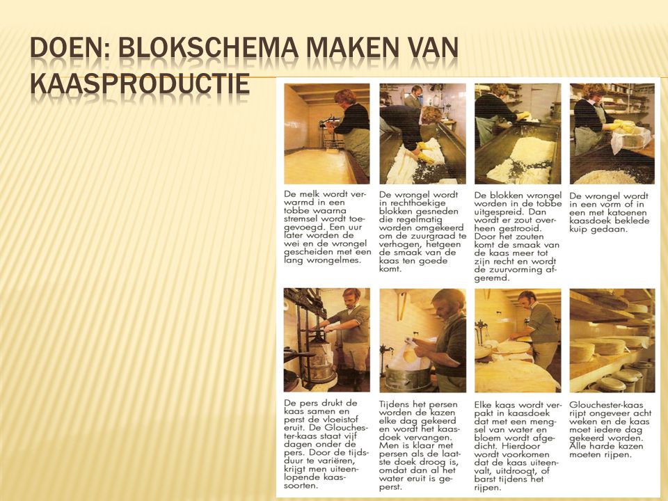 Doen: blokschema maken van kaasproductie