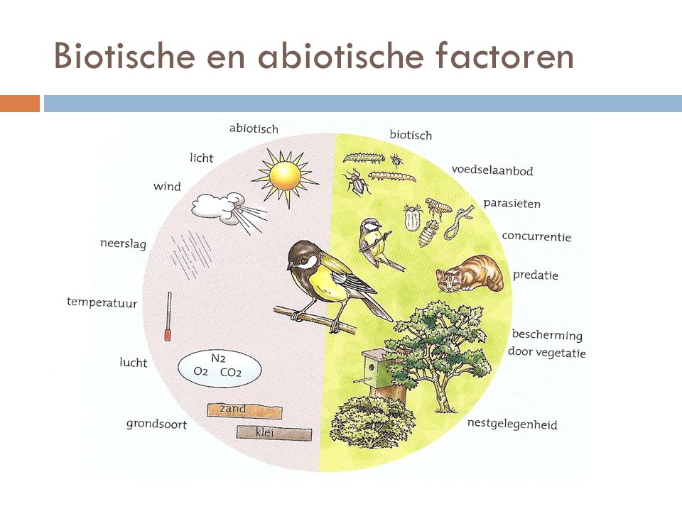 Biotische en abiotische factoren
