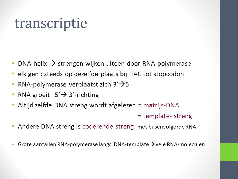 transcriptie DNA-helix  strengen wijken uiteen door RNA-polymerase