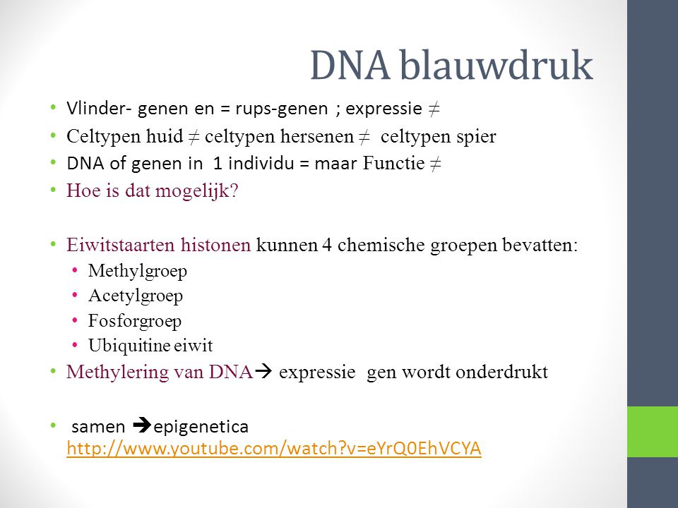 DNA blauwdruk Vlinder- genen en = rups-genen ; expressie ≠
