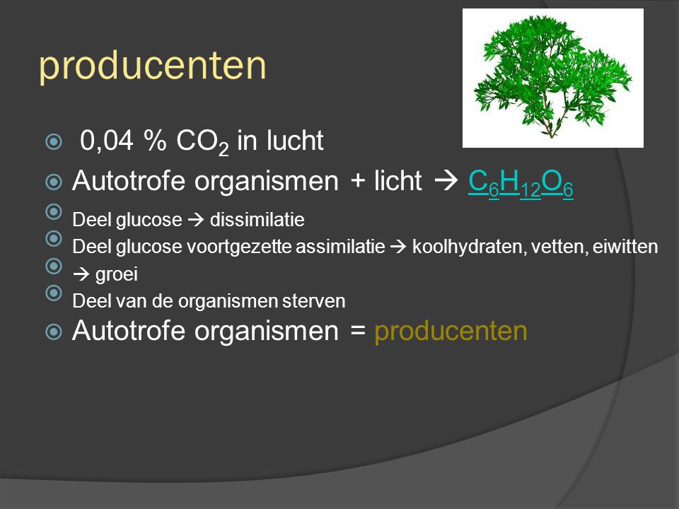 producenten 0,04 % CO2 in lucht Autotrofe organismen + licht  C6H12O6