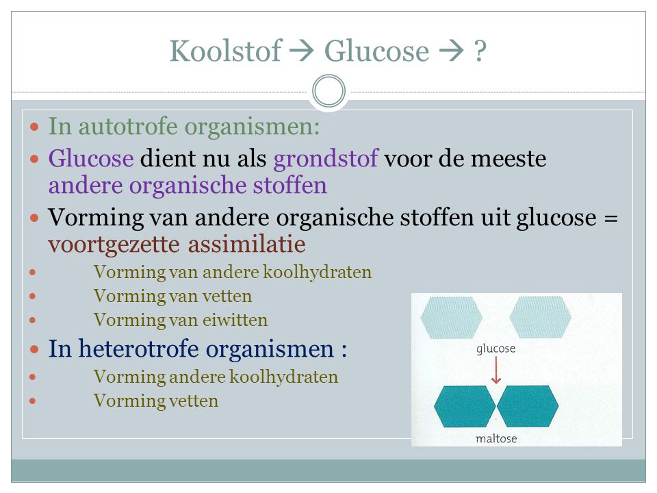 Koolstof  Glucose  In autotrofe organismen:
