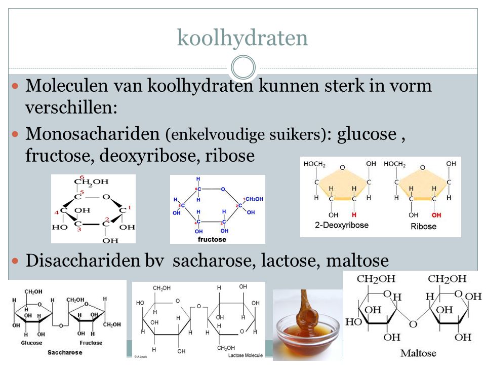 koolhydraten Moleculen van koolhydraten kunnen sterk in vorm verschillen: