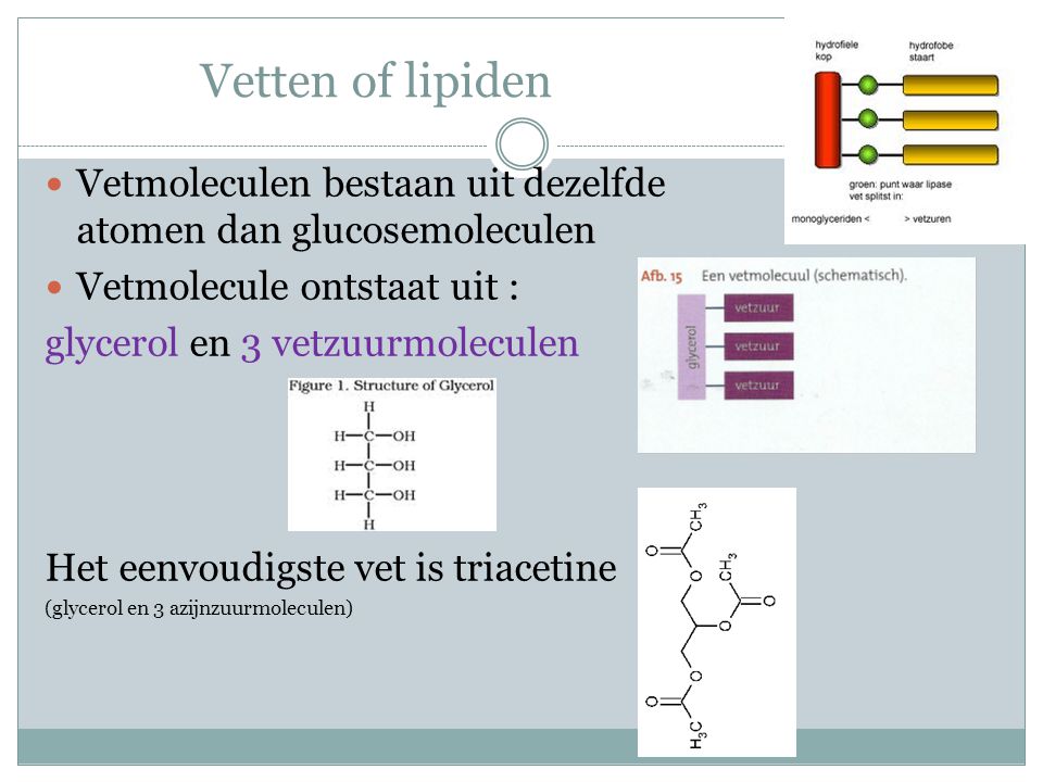 Vetten of lipiden Vetmoleculen bestaan uit dezelfde atomen dan glucosemoleculen. Vetmolecule ontstaat uit :