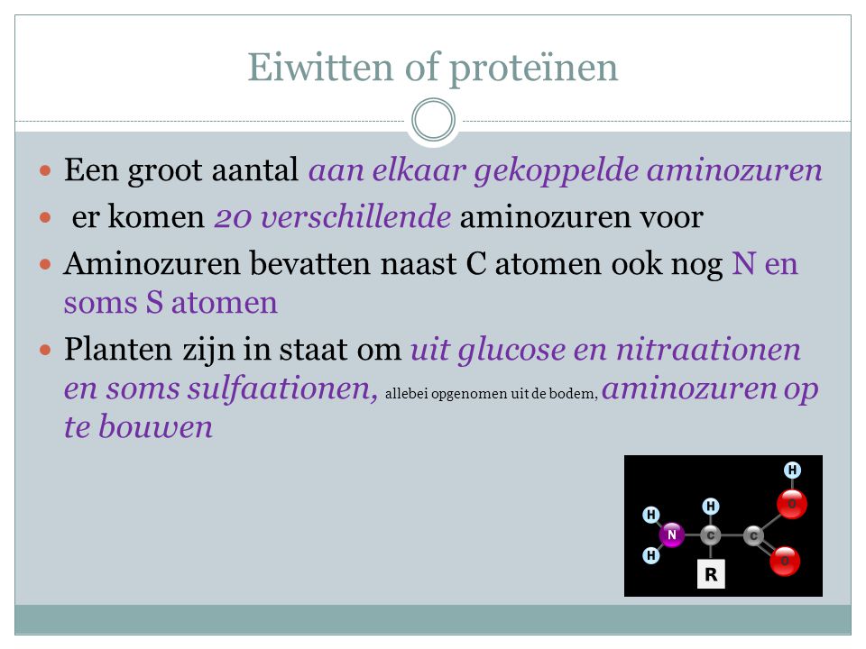 Eiwitten of proteïnen Een groot aantal aan elkaar gekoppelde aminozuren. er komen 20 verschillende aminozuren voor.