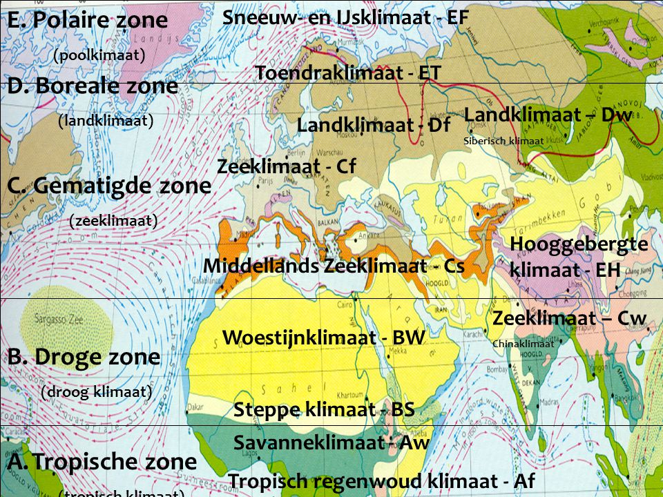 E. Polaire zone D. Boreale zone C. Gematigde zone B. Droge zone