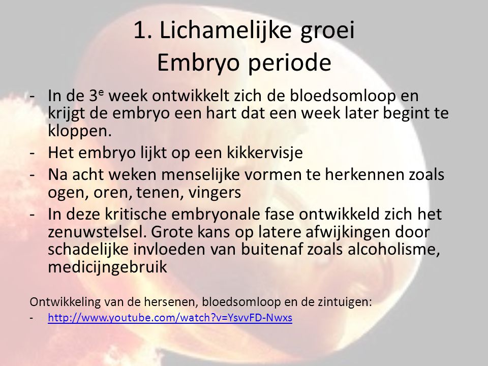1. Lichamelijke groei Embryo periode