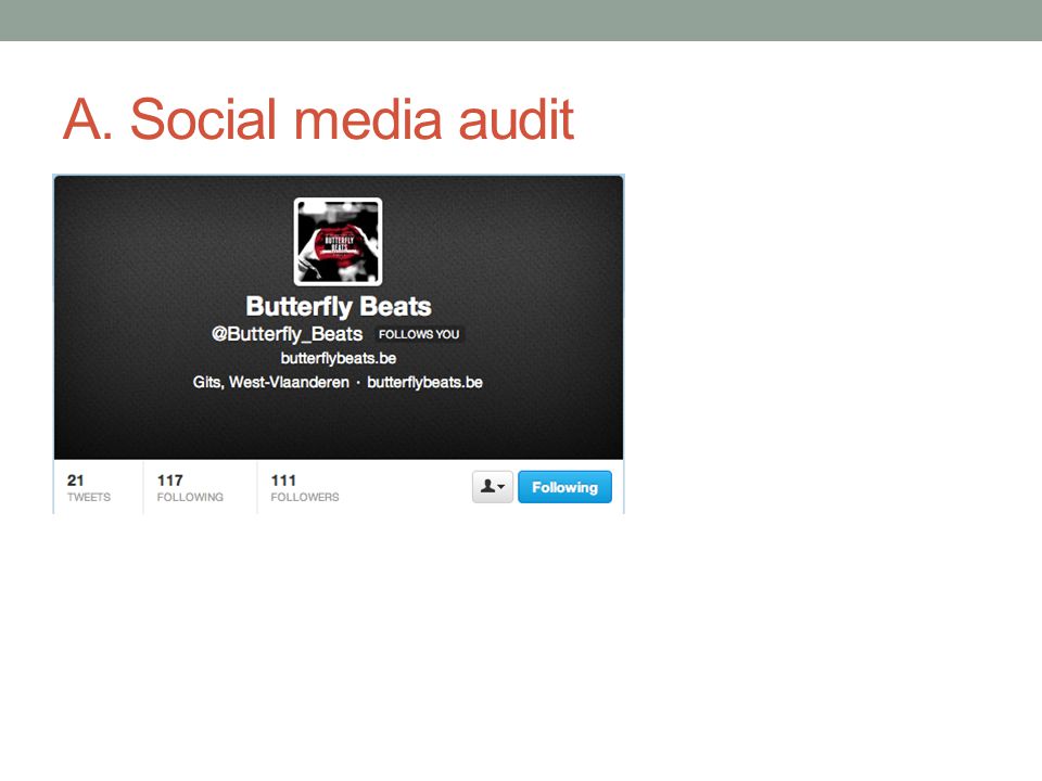 A. Social media audit
