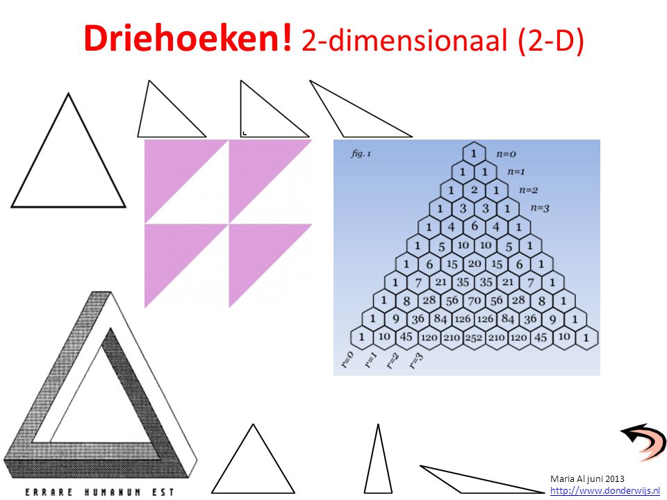 Driehoeken! 2-dimensionaal (2-D)