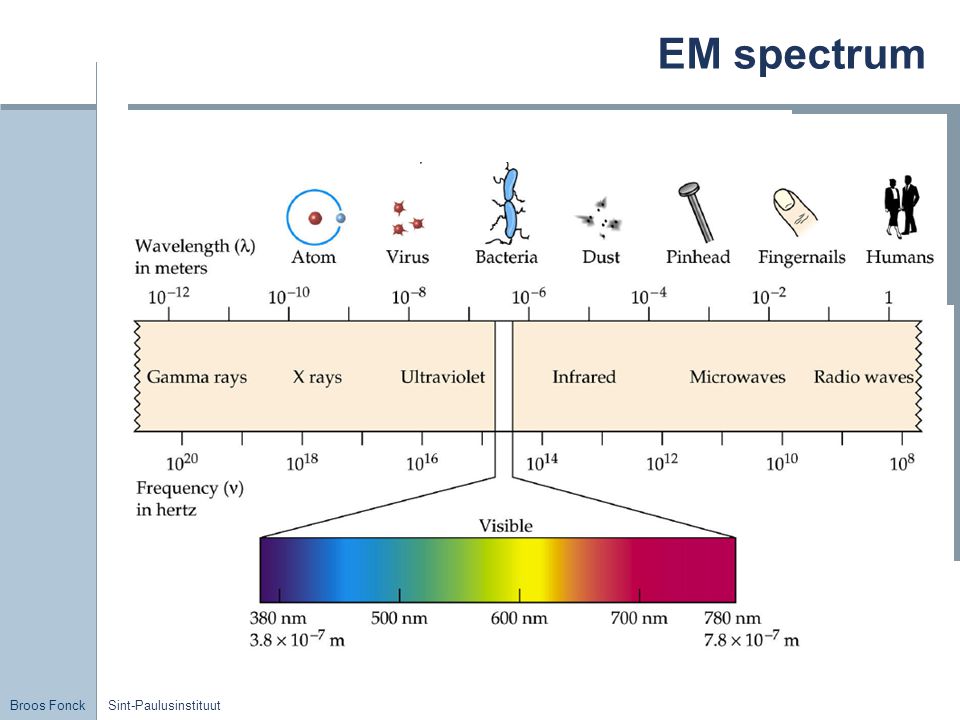 EM spectrum Sint-Paulusinstituut