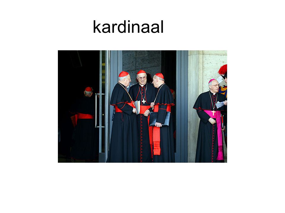 kardinaal