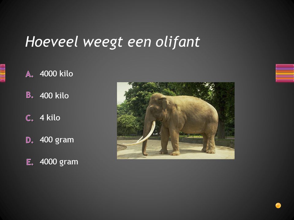 Hoeveel weegt een olifant