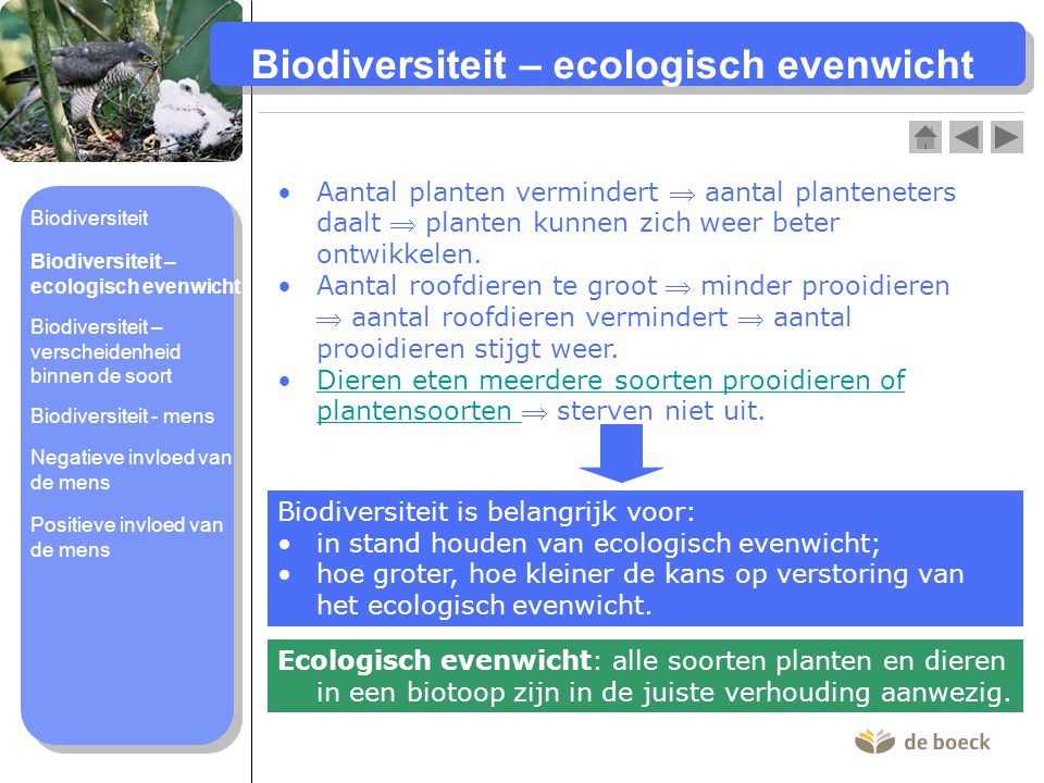 Biodiversiteit – ecologisch evenwicht