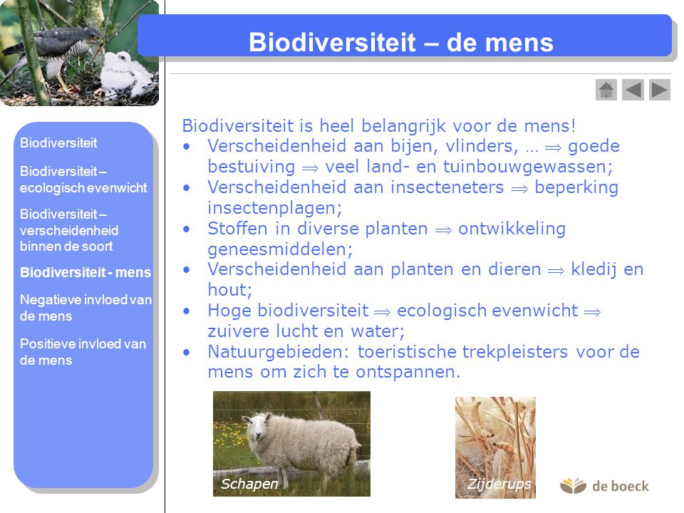 Biodiversiteit – de mens