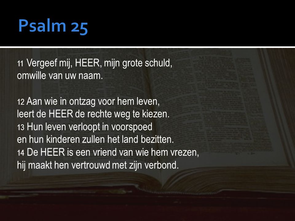 Psalm 25 omwille van uw naam. leert de HEER de rechte weg te kiezen.