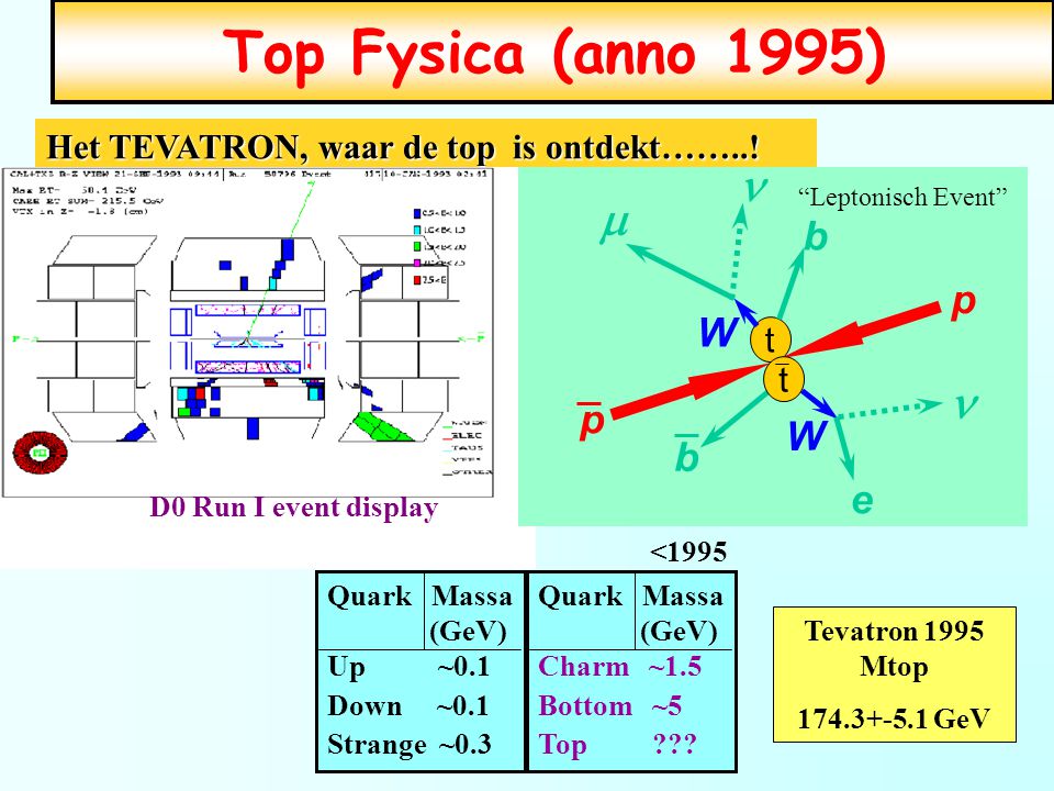 Top Fysica (anno 1995) m n b W p e