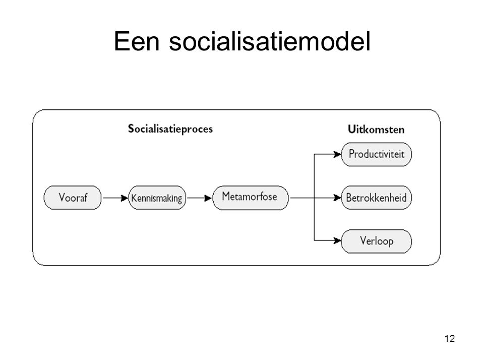 Een socialisatiemodel