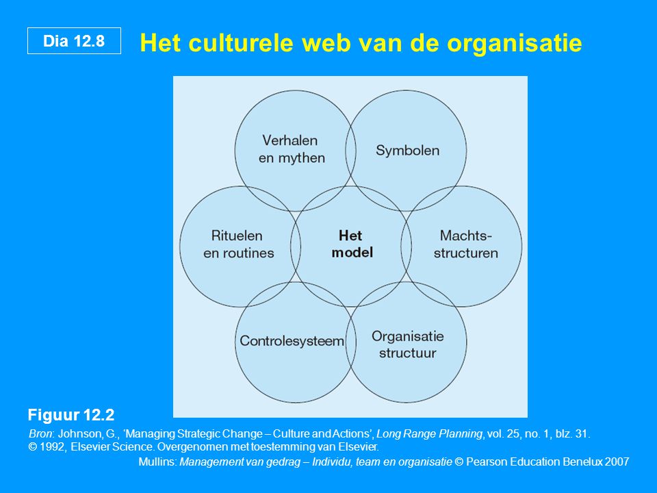 Het culturele web van de organisatie