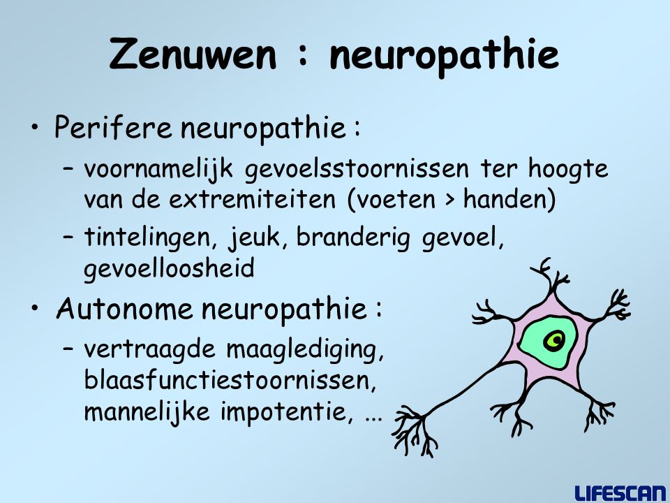 Zenuwen : neuropathie Perifere neuropathie : Autonome neuropathie :