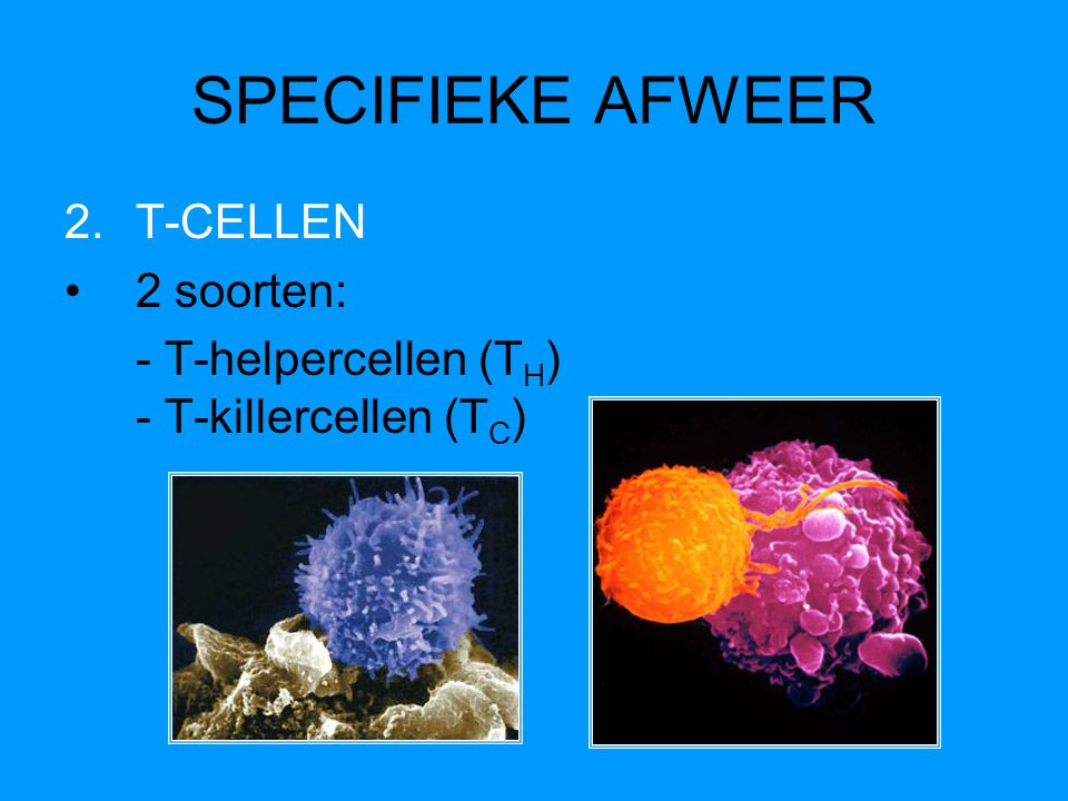 SPECIFIEKE AFWEER T-CELLEN 2 soorten: