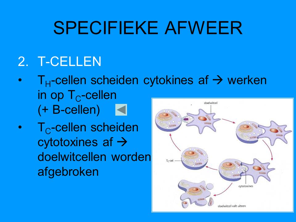 SPECIFIEKE AFWEER T-CELLEN