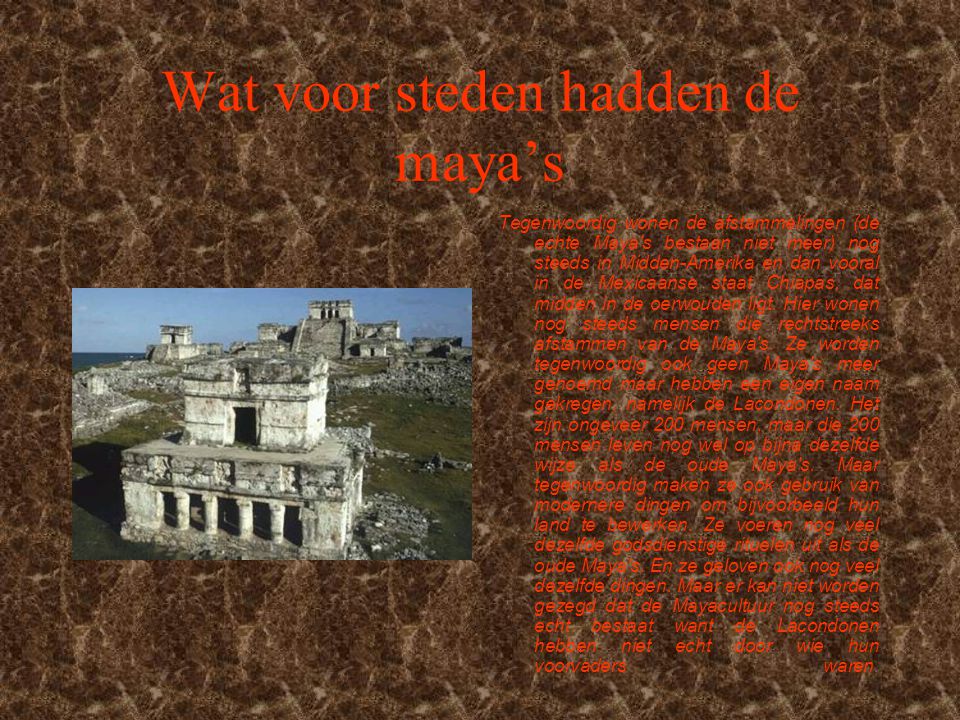 Wat voor steden hadden de maya’s