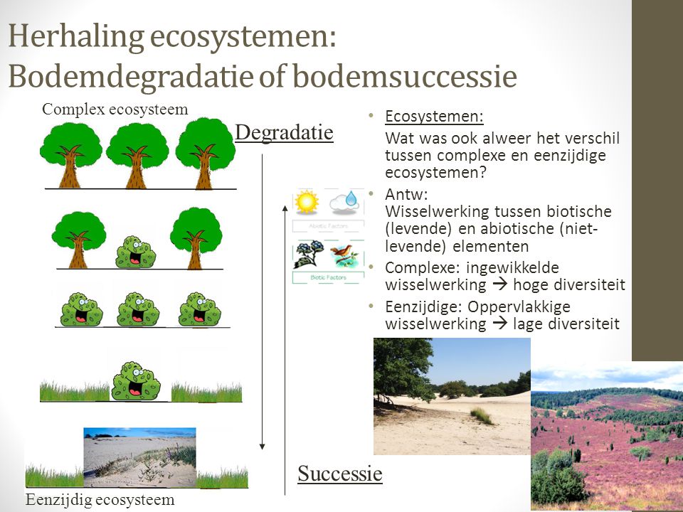 Herhaling ecosystemen: Bodemdegradatie of bodemsuccessie