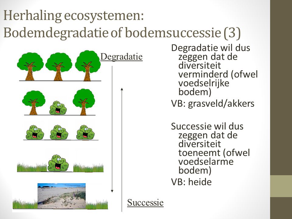 Herhaling ecosystemen: Bodemdegradatie of bodemsuccessie (3)