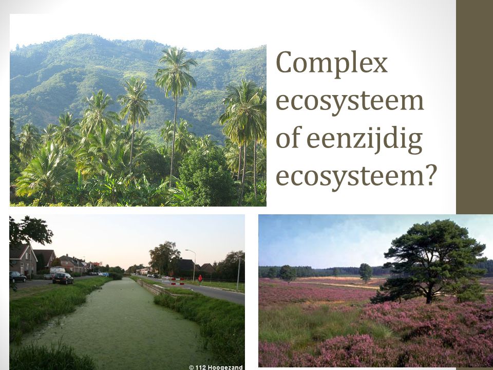 Complex ecosysteem of eenzijdig ecosysteem