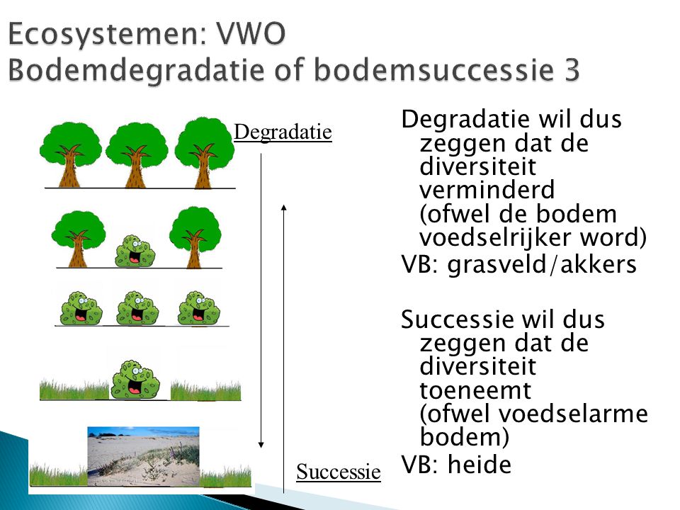 Ecosystemen: VWO Bodemdegradatie of bodemsuccessie 3