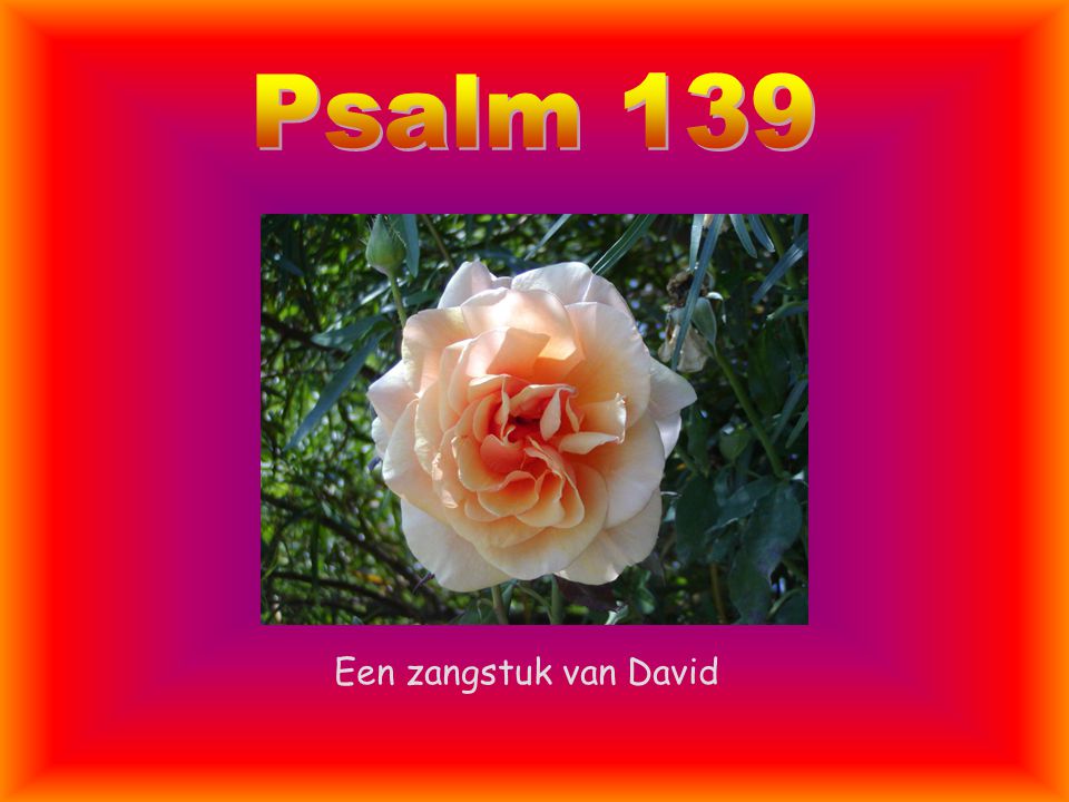 Psalm 139 Een zangstuk van David