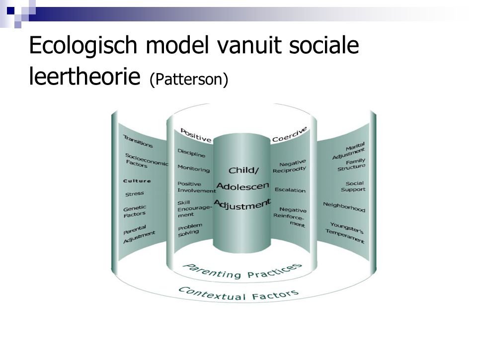Ecologisch model vanuit sociale leertheorie (Patterson)