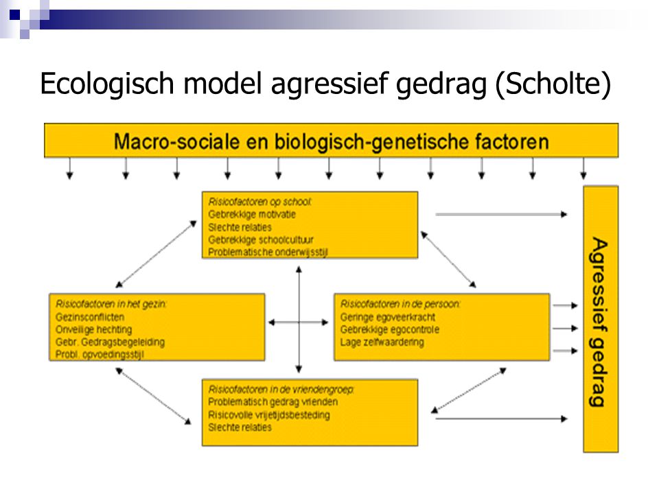 Ecologisch model agressief gedrag (Scholte)