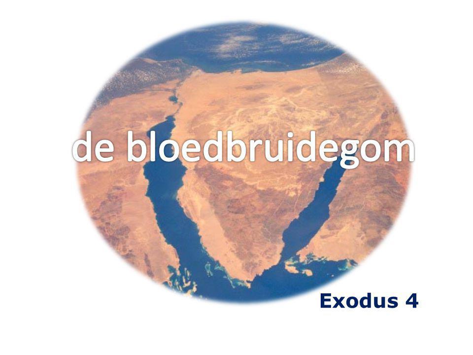 de bloedbruidegom Exodus 4