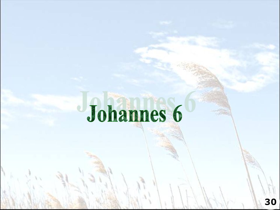 Johannes 6 30