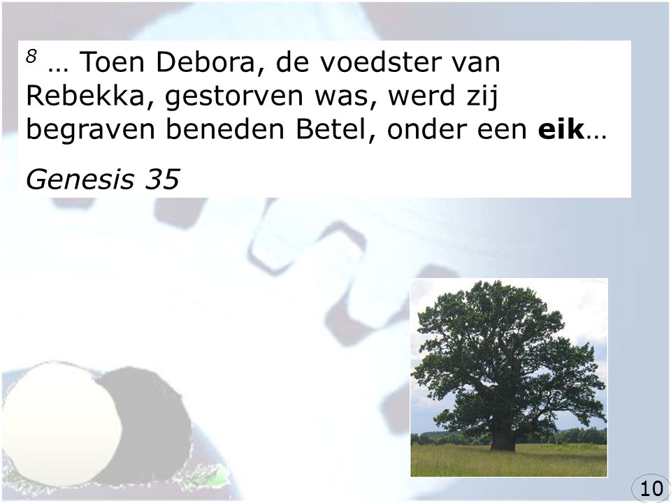 8 … Toen Debora, de voedster van Rebekka, gestorven was, werd zij begraven beneden Betel, onder een eik…