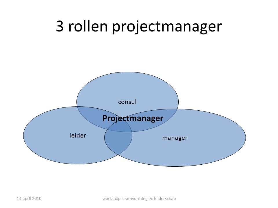 3 rollen projectmanager