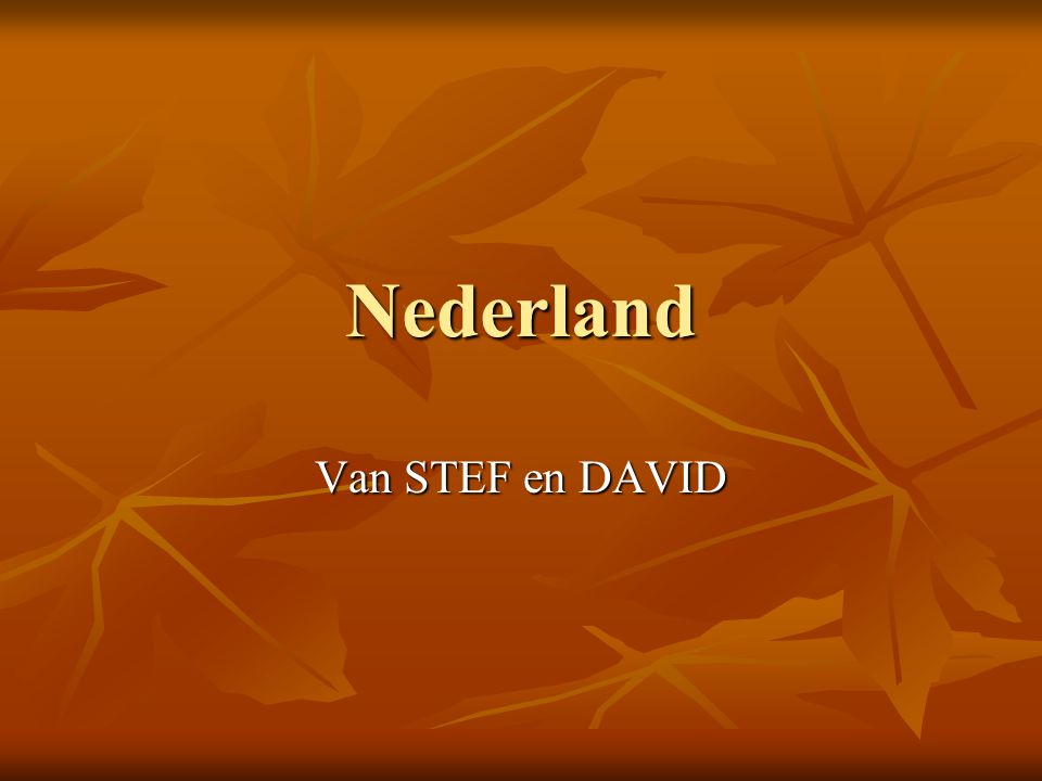 Nederland Van STEF en DAVID