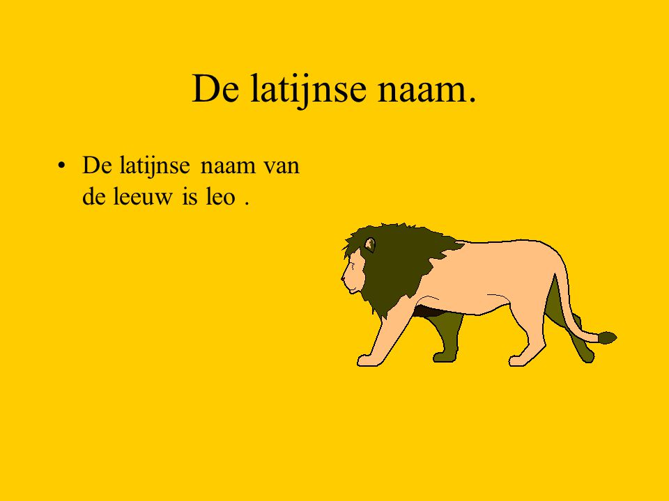 De latijnse naam. De latijnse naam van de leeuw is leo .