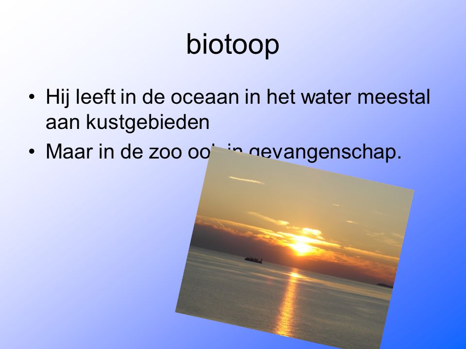 biotoop Hij leeft in de oceaan in het water meestal aan kustgebieden