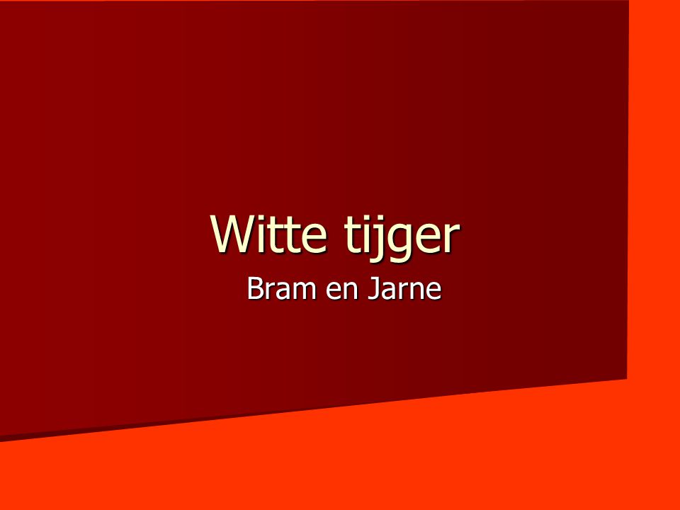Witte tijger Bram en Jarne