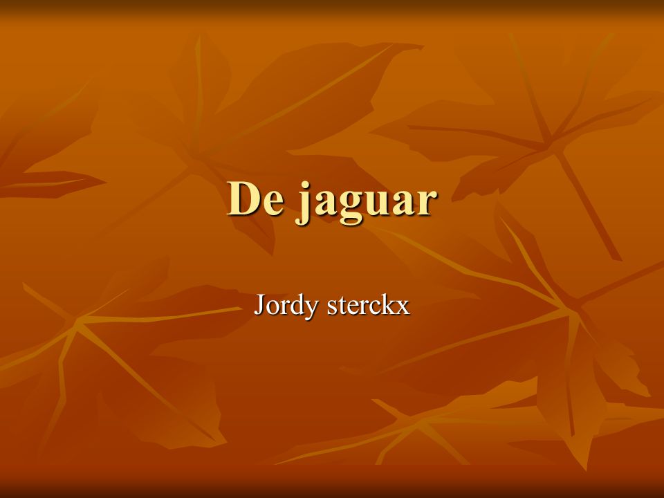 De jaguar Jordy sterckx