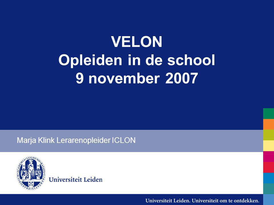 VELON Opleiden in de school 9 november 2007