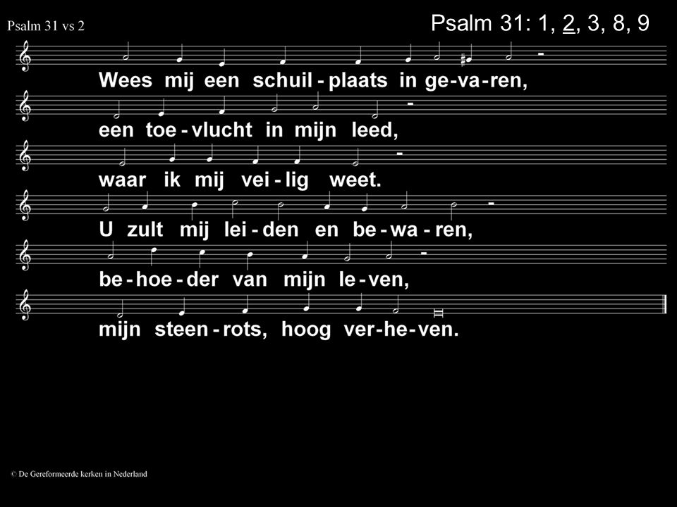 Psalm 31: 1, 2, 3, 8, 9