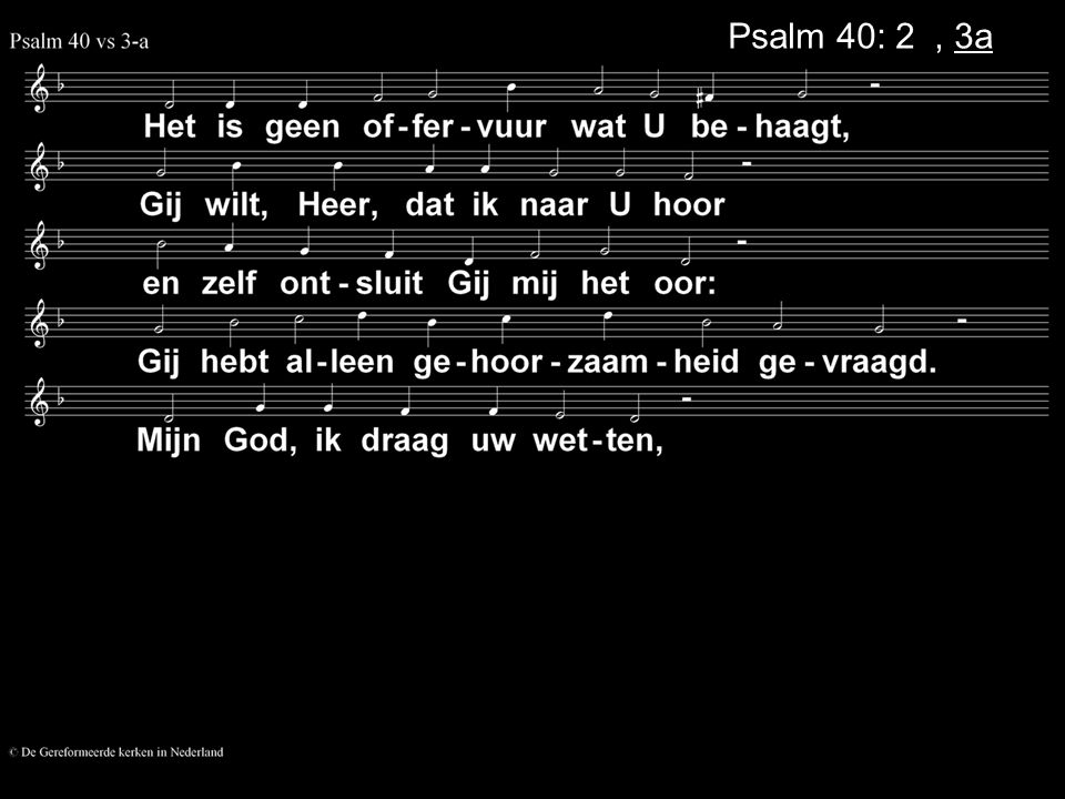Psalm 40: 2a, 3a