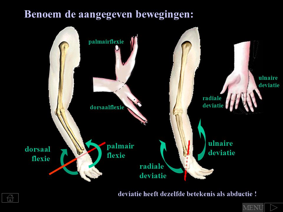 Bouw En Functie Van De Gewrichten Van Pols En Hand - Ppt Video Online ...