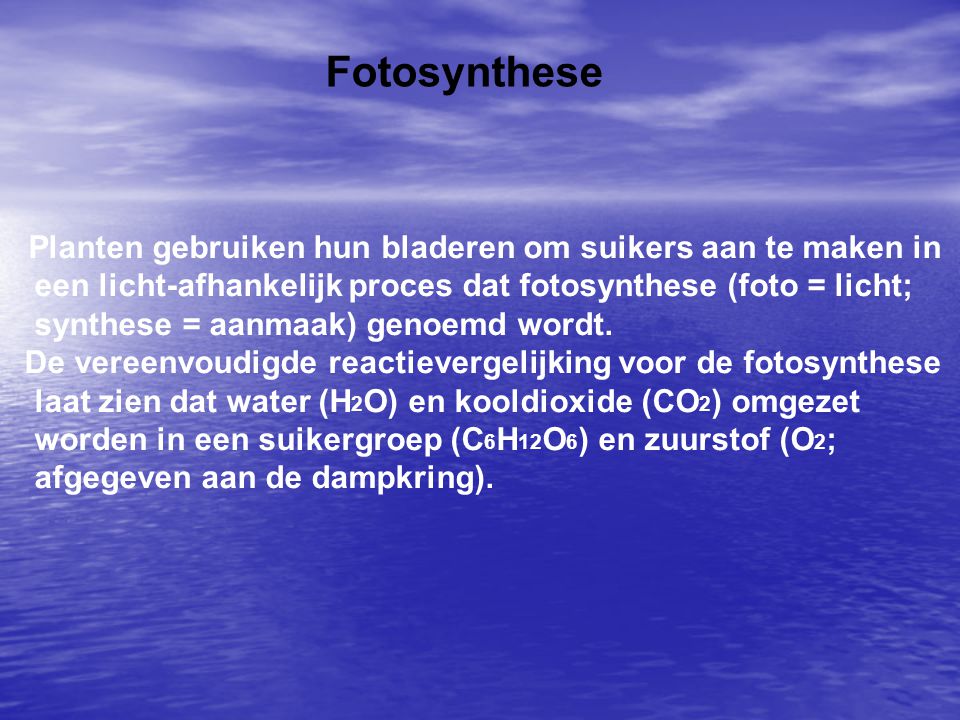 Fotosynthese