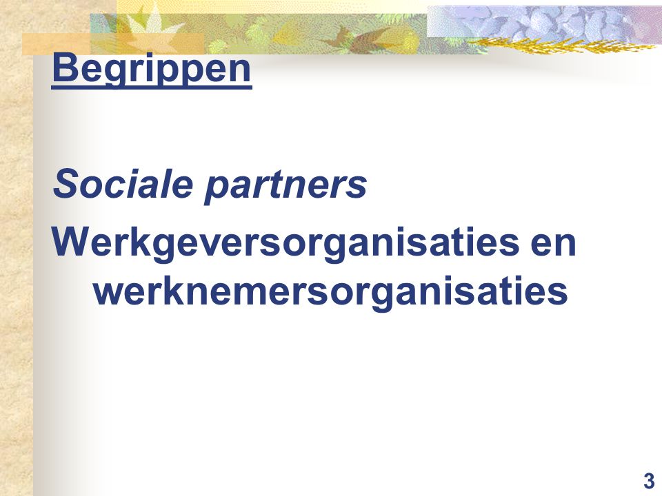 Begrippen Sociale partners Werkgeversorganisaties en werknemersorganisaties