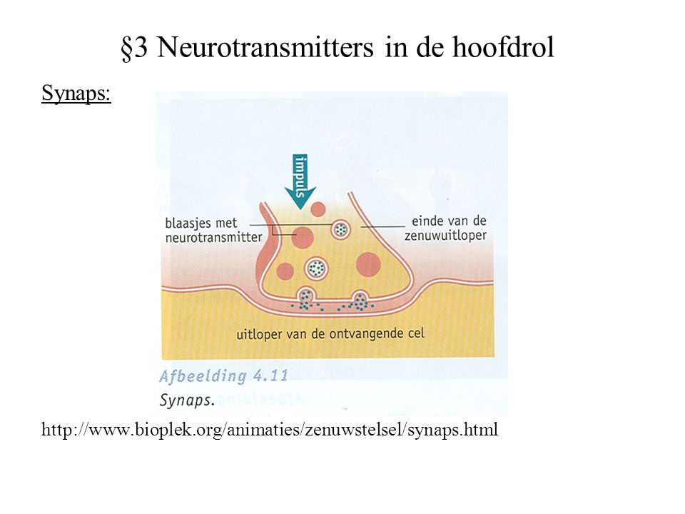 §3 Neurotransmitters in de hoofdrol