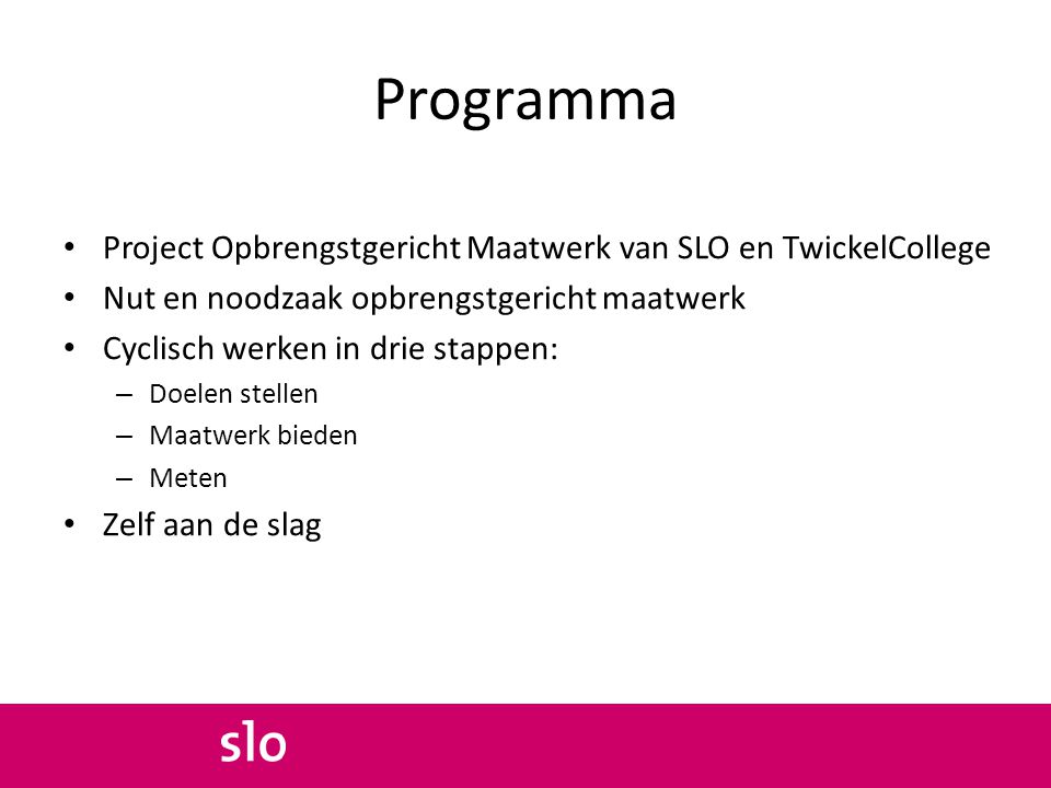 Programma Project Opbrengstgericht Maatwerk van SLO en TwickelCollege